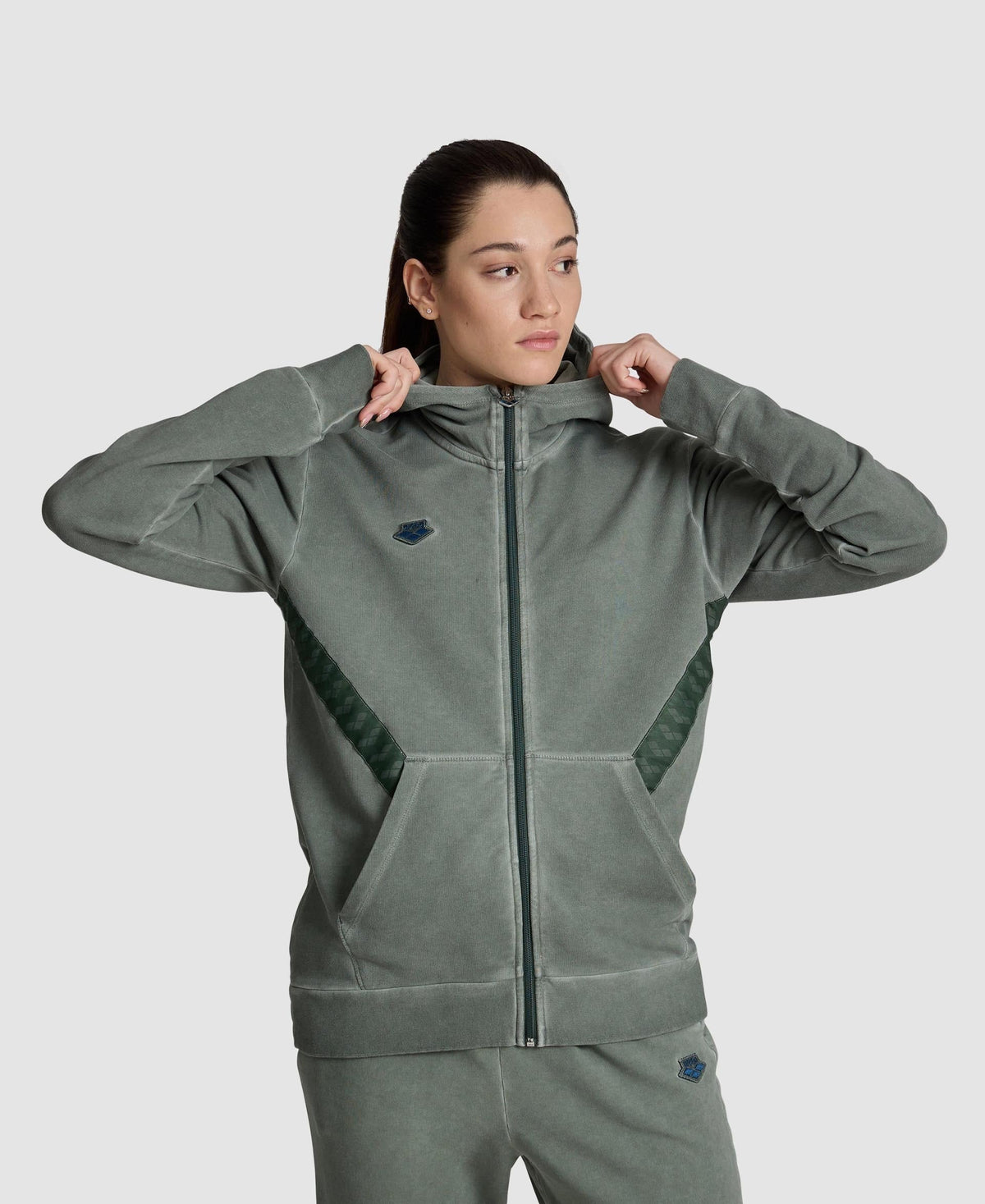 Arena Icons Hooded Jacket