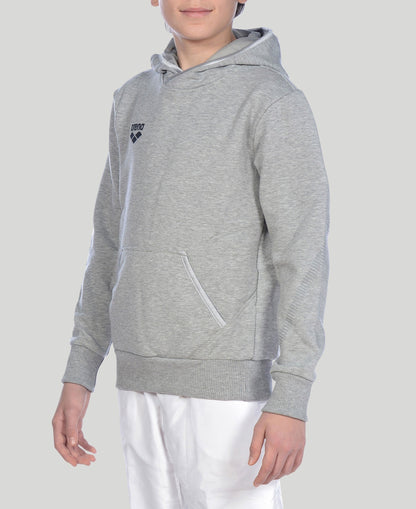 Arena Youth Team Line L/S Hoody
